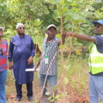 Tournée de la Coordonnatrice nationale dans la zone sud : visite à Sédhiou de parcelles de production de mangue et d’anacarde