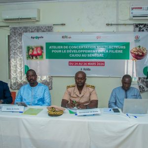 Atelier de concertation multiacteurs pour le développement de la filière cajou au Sénégal.