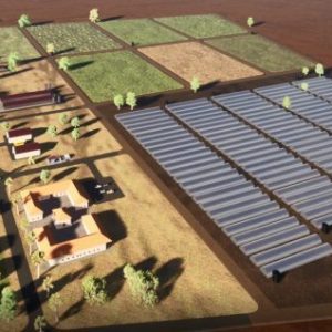 Agro-Industrie : Le Chef De L’état Sénégalais Lance Les Travaux De L’agropole Ouest Le 04 Aout 2022