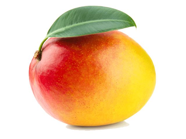 Mangue